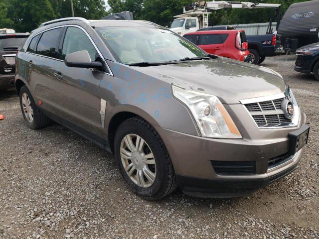 CADILLAC SRX LUXURY 2011 with VIN 3GYFNDEYXBS546067 - Photo from auction