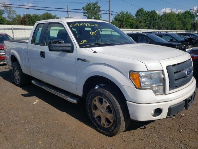 FORD F150 SUPER 2010 with VIN 1FTEX1E81AFD37622 - Photo from auction