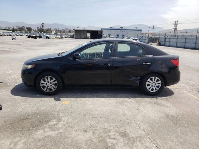Photo 9 from auction – 2011 KIA FORTE EX with VIN KNAFU4A22B5384971