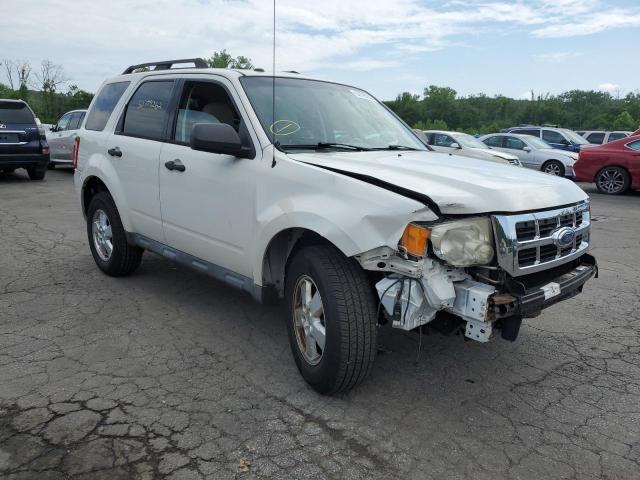 FORD ESCAPE XLT 2009 with VIN 1FMCU93G99KC59534 - Photo from auction