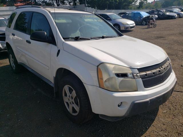 CHEVROLET EQUINOX 2005 with VIN 2CNDL23F856112124 - Photo from auction
