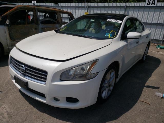 Photo 2 from auction – 2009 NISSAN MAXIMA with VIN 1N4AA51E89C823088