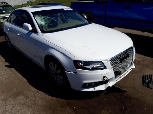 AUDI A4 PREMIUM 2011 with VIN WAUFFAFL8BN034139 - Photo from auction