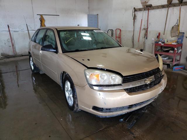 CHEVROLET MALIBU MAX 2005 with VIN 1G1ZT64845F324728 - Photo from auction