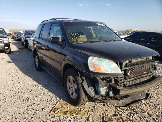HONDA PILOT EXL 2005 with VIN 5FNYF186X5B025707 - Photo from auction
