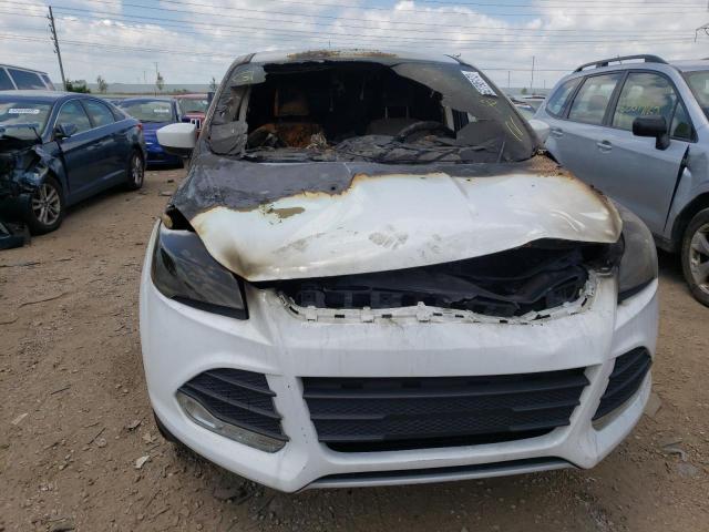 Photo 9 from auction – 2014 FORD ESCAPE SE with VIN 1FMCU0GX1EUB85482