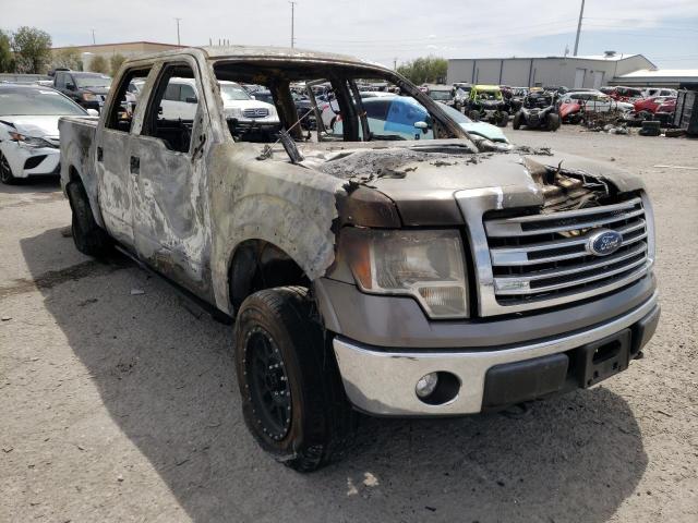 FORD F150 SUPER 2013 with VIN 1FTFW1EF0DFA69060 - Photo from auction