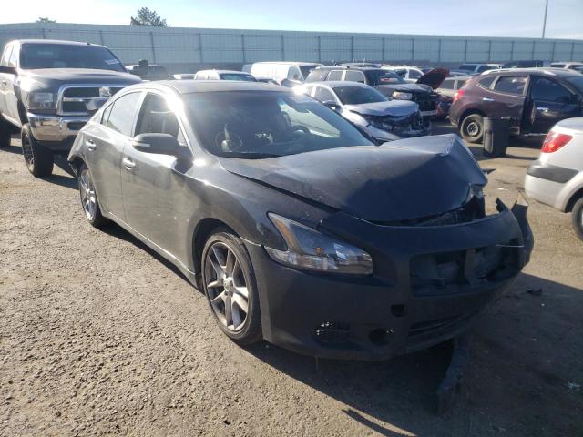 NISSAN MAXIMA S 2010 with VIN 1N4AA5AP7AC854189 - Photo from auction
