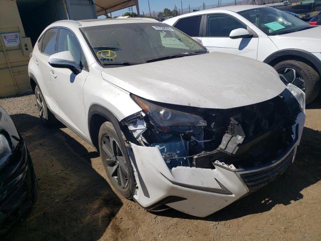 LEXUS NX 300H 2019 with VIN JTJBJRBZ9K2123256 - Photo from auction