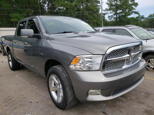 DODGE RAM 1500 2009 with VIN 1D3HV13T79S736314 - Photo from auction