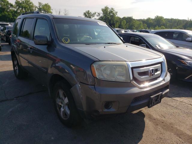 HONDA PILOT EXL 2009 with VIN 5FNYF48529B001285 - Photo from auction