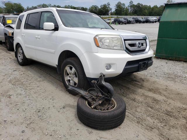 HONDA PILOT EXL 2011 with VIN 5FNYF4H67BB027606 - Photo from auction