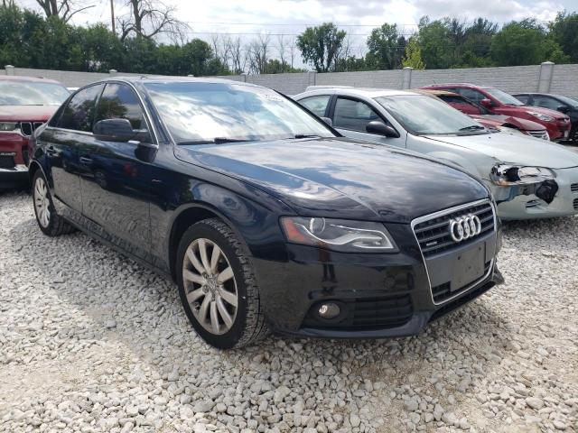 AUDI A4 PREMIUM 2010 with VIN WAUFFAFLXAN020600 - Photo from auction
