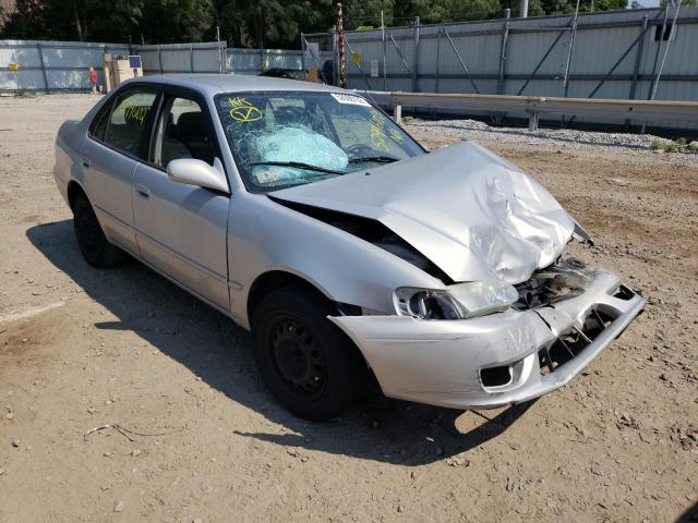 TOYOTA COROLLA CE 2002 with VIN 2T1BR12E92C562484 - Photo from auction