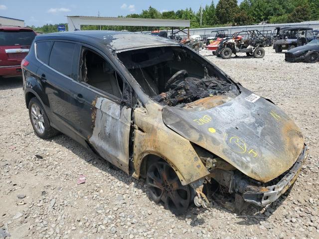 FORD ESCAPE SEL 2013 with VIN 1FMCU0HX0DUD48927 - Photo from auction