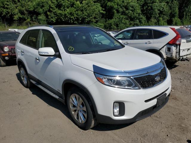 KIA SORENTO 2014 with VIN 5XYKUDA73EG526558 - Photo from auction