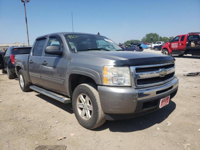 CHEVROLET SILVERADO 2009 with VIN 3GCEK13C79G263977 - Photo from auction