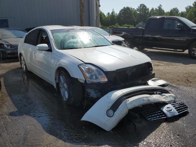 NISSAN MAXIMA SE 2004 with VIN 1N4BA41E54C922359 - Photo from auction