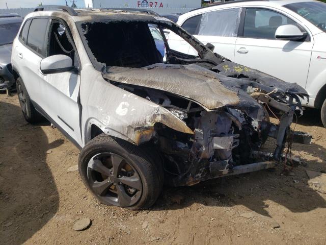 JEEP CHEROKEE L 2019 with VIN 1C4PJMLB9KD378328 - Photo from auction