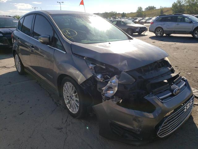 FORD C-MAX SEL 2013 with VIN 1FADP5BU8DL553354 - Photo from auction