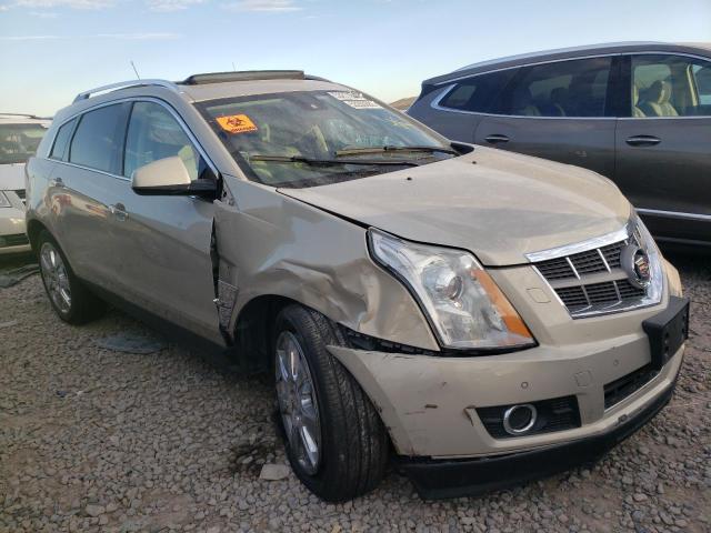 CADILLAC SRX PREMIU 2011 with VIN 3GYFNFEY9BS552468 - Photo from auction