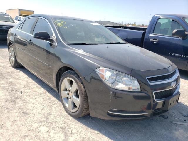 CHEVROLET MALIBU 2LT 2011 with VIN 1G1ZD5EUXBF362852 - Photo from auction