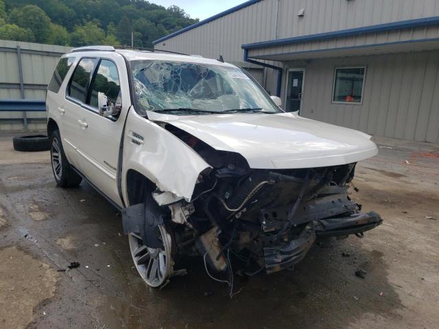 CADILLAC ESCALADE P 2013 with VIN 1GYS4CEFXDR219216 - Photo from auction