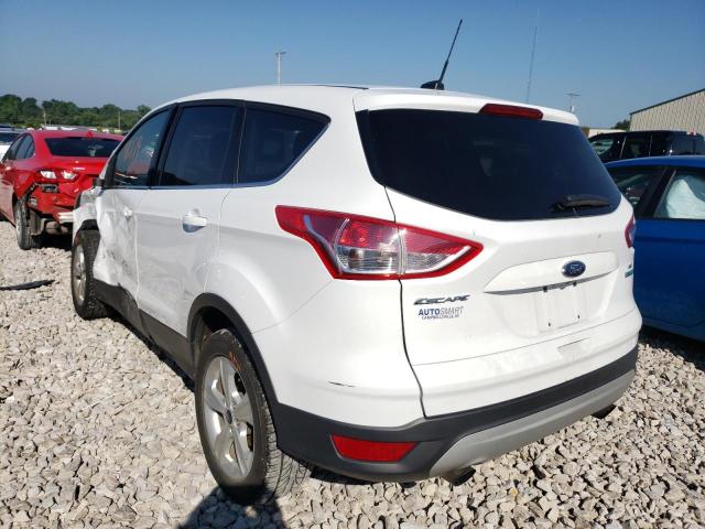 Photo 3 from auction – 2014 FORD ESCAPE S with VIN 1FMCU0GX6EUD18673