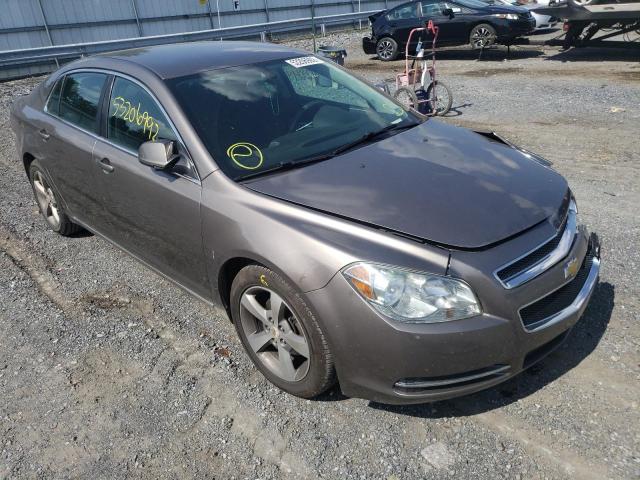 Photo 1 from auction – 2011 CHEVROLET MALIBU 1LT with VIN 1G1ZC5E13BF213711