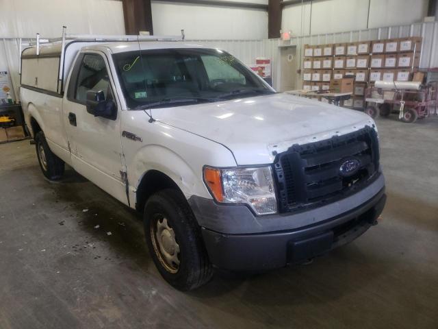 FORD F150 2010 with VIN 1FTMF1EW4AKB23664 - Photo from auction