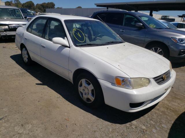 TOYOTA COROLLA CE 2001 with VIN 1NXBR12E31Z534080 - Photo from auction