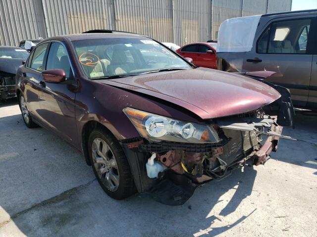 HONDA ACCORD EXL 2010 with VIN 1HGCP2F85AA174368 - Photo from auction