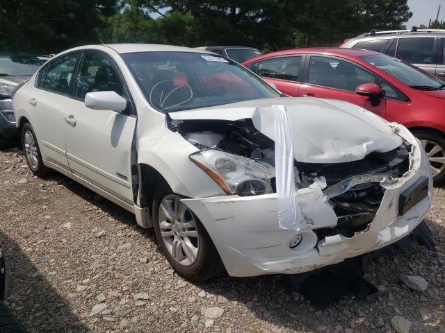 NISSAN ALTIMA HYB 2011 with VIN 1N4CL2AP6BC185383 - Photo from auction
