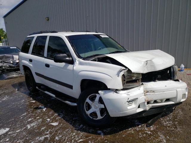 CHEVROLET TRAILBLAZE 2005 with VIN 1GNDS13S552102525 - Photo from auction
