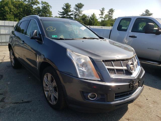 CADILLAC SRX PERFOR 2011 with VIN 3GYFNEEY0BS544639 - Photo from auction