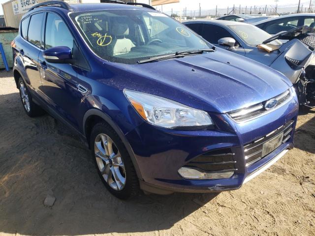 FORD ESCAPE SEL 2013 with VIN 1FMCU0HX3DUA42207 - Photo from auction