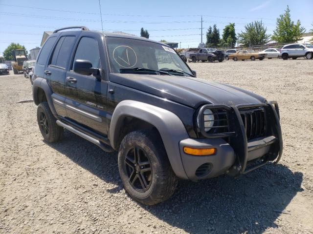 Photo 1 from auction – 2003 JEEP LIBERTY SP with VIN 1J4GL48K43W531927