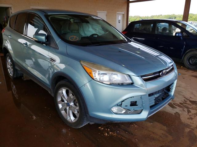 FORD ESCAPE SEL 2013 with VIN 1FMCU0HX8DUB39242 - Photo from auction