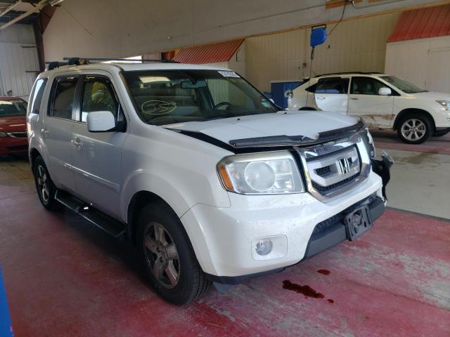 HONDA PILOT EXL 2011 with VIN 5FNYF4H51BB104736 - Photo from auction