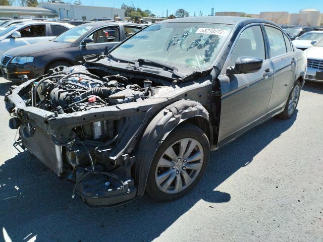 Photo 2 from auction – 2010 HONDA ACCORD LXP with VIN 1HGCP2F40AA163338