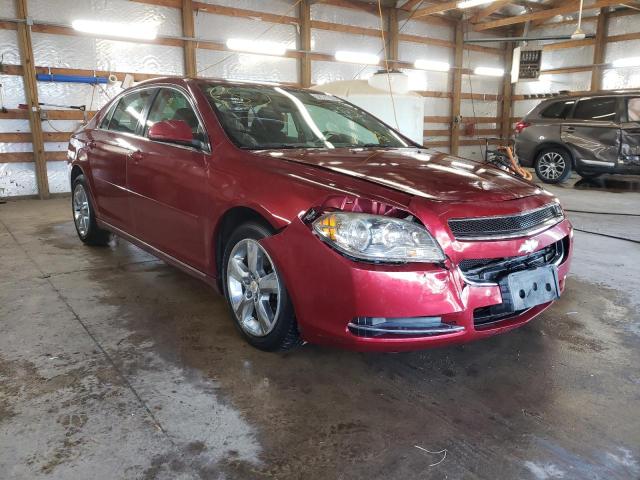 CHEVROLET MALIBU 1LT 2011 with VIN 1G1ZC5E17BF300429 - Photo from auction