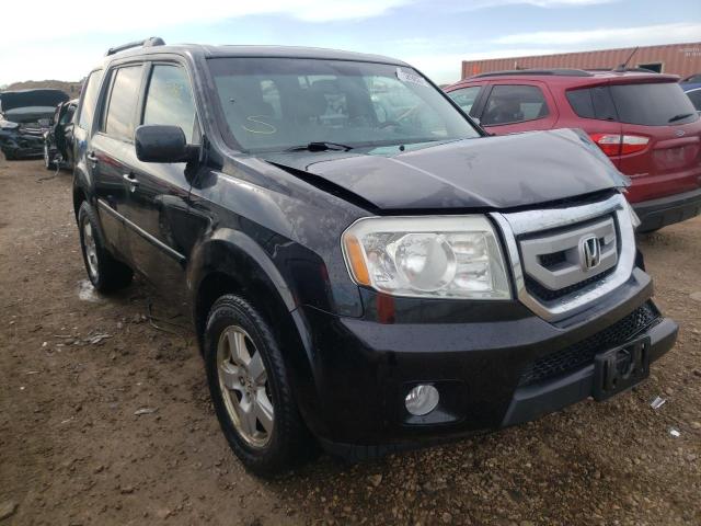 HONDA PILOT EXLN 2011 with VIN 5FNYF4H7XBB083256 - Photo from auction