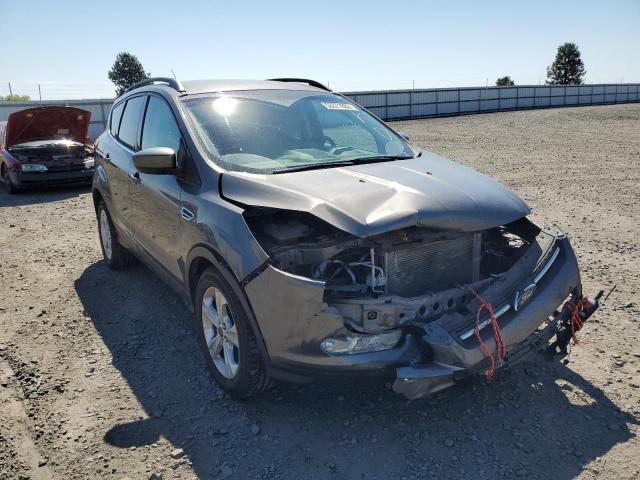 FORD ESCAPE SE 2014 with VIN 1FMCU9GX9EUB64982 - Photo from auction