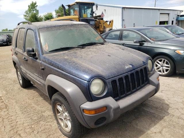 JEEP LIBERTY SP 2003 with VIN 1J4GL48K23W617060 - Photo from auction