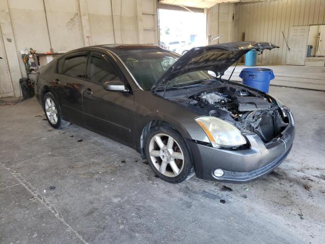 NISSAN MAXIMA SE 2006 with VIN 1N4BA41E36C804085 - Photo from auction