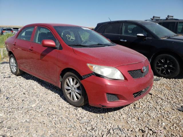 TOYOTA COROLLA BA 2010 with VIN 2T1BU4EE0AC383924 - Photo from auction