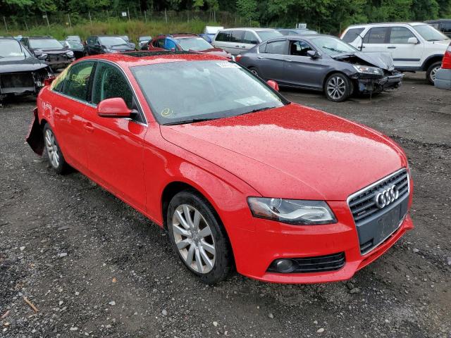 AUDI A4 PREMIUM 2009 with VIN WAUSF78KX9N037804 - Photo from auction