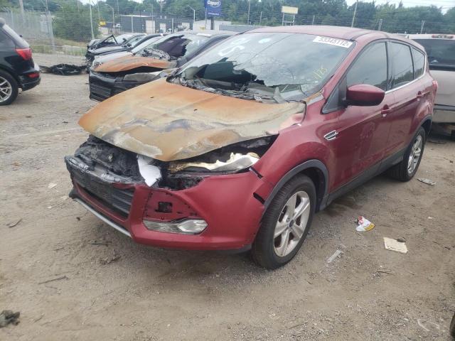 Photo 2 from auction – 2014 FORD ESCAPE SE with VIN 1FMCU9GXXEUC61141