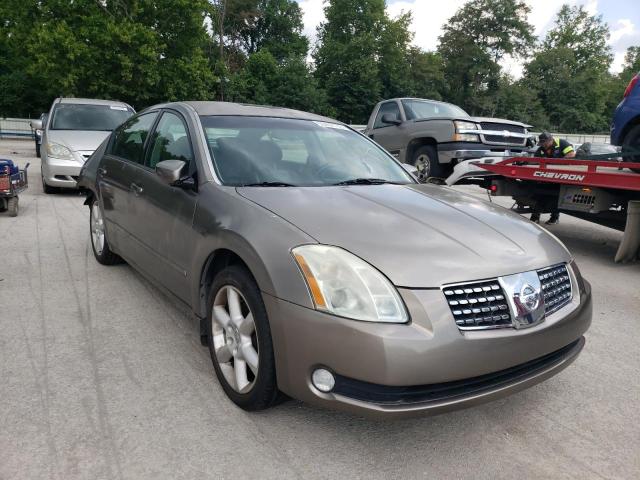 NISSAN MAXIMA SE 2005 with VIN 1N4BA41E45C839846 - Photo from auction