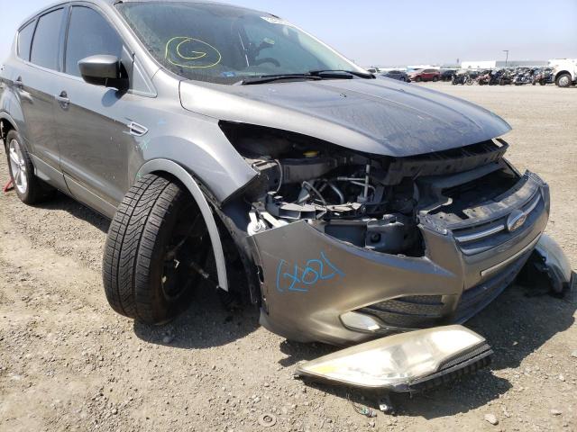 Photo 9 from auction – 2014 FORD ESCAPE SE with VIN 1FMCU0GX7EUC94187